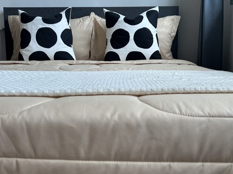 Changi Court, 700 Upper Changi Road East, Room Rental, 150 sqft, Condominium For Rent, by Dominus Pte Ltd, 500107771 - 402 - Master Room - PropertyGuru.com.sg