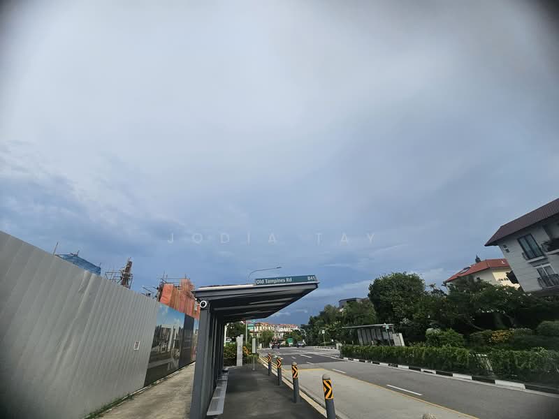 Villas @ Old Tampines Road, 30 Old Tampines Road, 6 Bedrooms, 4,133 sqft, Semi-Detached House For Sale, by Jodia Tay, 500107893 - PropertyGuru.com.sg