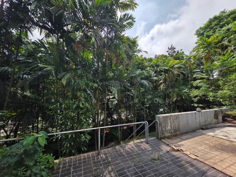 EMERALD STUDIO FOR SINGLES/ NO KITCHEN, EMERALD HILL CONSERVATION AREA, 1 Bedroom, 975 sqft, Conservation House For Rent, by Susan Prior, 500107960 - Exterior - PropertyGuru.com.sg