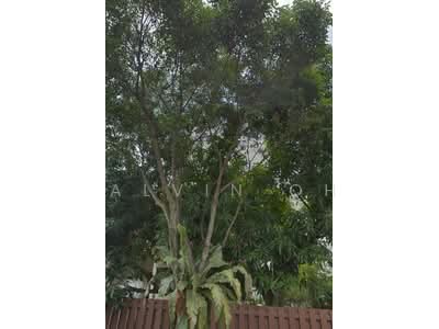 For Sale - ⭐️⭐️LANDED7772@D20 Best Value Brand New Terrace !