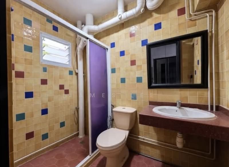 257A Compassvale Road, 257A Compassvale Road, 2 Bedrooms, 1,184 sqft, HDB Flat For Sale, by James Lee, 500108332 - Bathroom - PropertyGuru.com.sg