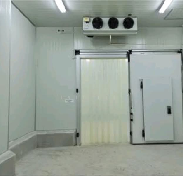 Food Factory, , 1,000 sqft, Factory / Workshop (B2) For Rent, by Iris Lee, 500108403 - Interior - CommercialGuru.com.sg