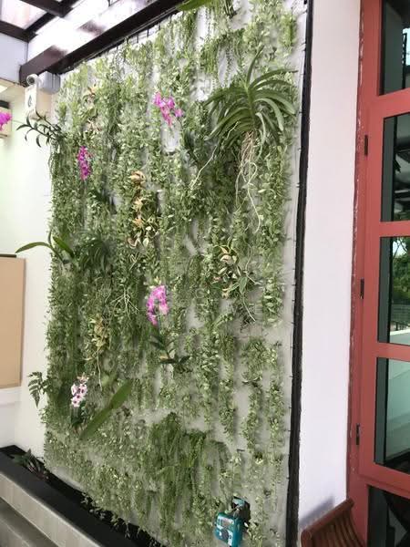 Tanah Merah Green, 35 Jalan Tanah Rata, Bedok / Upper East Coast, 5 Bedrooms, 3,652 sqft, Corner Terrace For Sale, by Priscilla Kang Swee Cheng, 500108506 - Exterior - PropertyGuru.com.sg