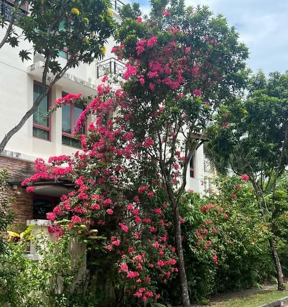 Tanah Merah Green, 35 Jalan Tanah Rata, Bedok / Upper East Coast, 5 Bedrooms, 3,652 sqft, Corner Terrace For Sale, by Priscilla Kang Swee Cheng, 500108506 - Exterior - PropertyGuru.com.sg