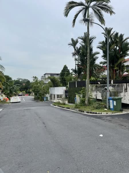 51 Springleaf, , 6 Bedrooms, 4,664 sqft, Semi-Detached House For Rent, by Daniel Jee, 500108799 - Exterior - PropertyGuru.com.sg