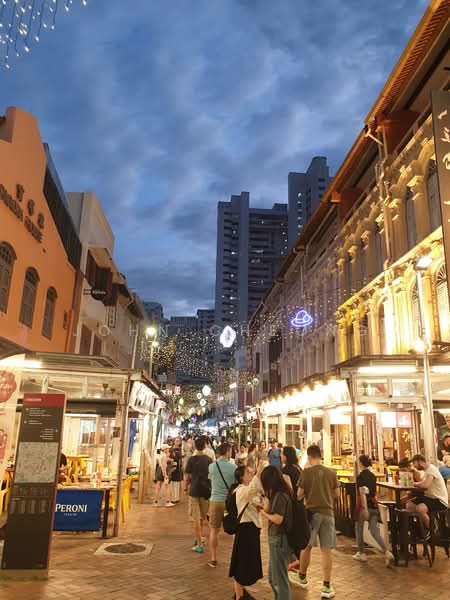 Trengganu Street, Trengganu Street, 8,956 sqft, Shop / Shophouse For Sale, by John Cheong, 500108846 - CommercialGuru.com.sg