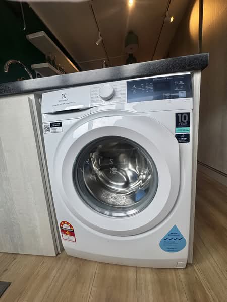 60 Telok Blangah Heights, 60 Telok Blangah Heights, 2 Bedrooms, 872 sqft, HDB Flat For Rent, by Christine Leng凌陈冰如, 500108949 - In Kitchen - PropertyGuru.com.sg