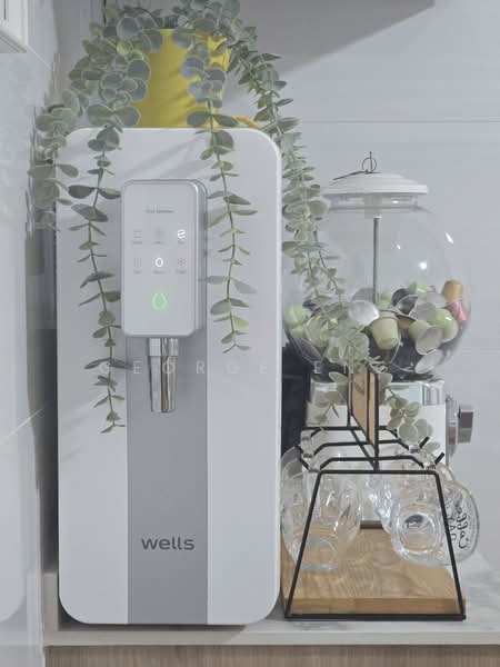 444 Hougang Avenue 8, 444 Hougang Avenue 8, Room Rental, 250 sqft, HDB Flat For Rent, by George Eng, 500109006 - Interior - PropertyGuru.com.sg