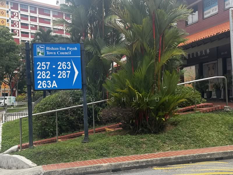 255 Bishan Street 22, 255 Bishan Street 22, 3 Bedrooms, 1,109 sqft, HDB Flat For Rent, by Yang Shuhui, 500109034 - PropertyGuru.com.sg