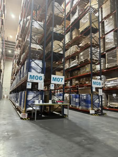 Part Aircon, 12m Ceiling Height, Dedicated Bays, Rackings Optional, , 21,500 sqft, Warehouse For Rent, by Betsy Loh, 500109092 - Interior - CommercialGuru.com.sg