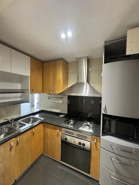 River Place, 60 Havelock Road, 1 Bedroom, 797 sqft, Condominium For Sale, by Joyce Tan, 500109260 - Kitchen - PropertyGuru.com.sg