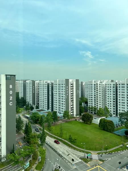 490A Choa Chu Kang Avenue 5, 490A Choa Chu Kang Avenue 5, 3 Bedrooms, 1,001 sqft, HDB Flat For Sale, by Raymond Tung, 500109407 - Outside Living Hall Window View - PropertyGuru.com.sg
