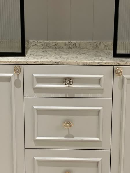 The Blossomvale, 900 Dunearn Road, 3 Bedrooms, 1,430 sqft, Condominium For Rent, by Rachel Ang, 500109429 - Interior - PropertyGuru.com.sg