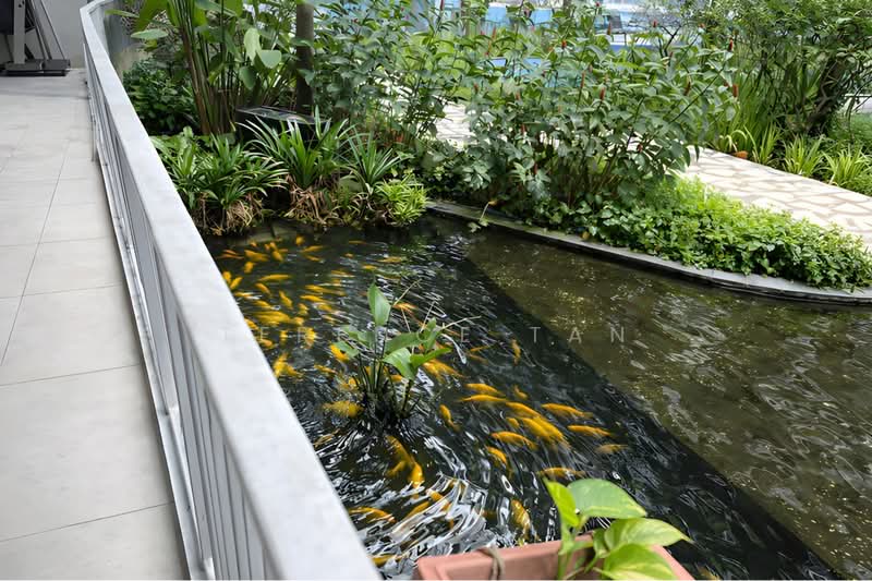 Caspian, 54 Lakeside Drive, 3 Bedrooms, 1,485 sqft, Condominium For Sale, by Terence Tan, 500109651 - Koi Pool  - PropertyGuru.com.sg