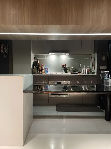 Euhabitat, 220 Jalan Eunos, 1 Bedroom, 517 sqft, Condominium For Rent, by Kaoru Fugane, 500109704 - Kitchen - PropertyGuru.com.sg