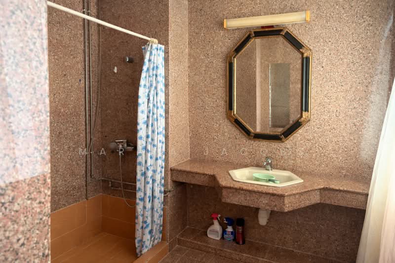 Binjai Park, Hua Guan, Dunearn, , 5 Bedrooms, 2,600 sqft, Semi-Detached House For Sale, by Marida Jacobs, 500109710 - Bathroom - PropertyGuru.com.sg