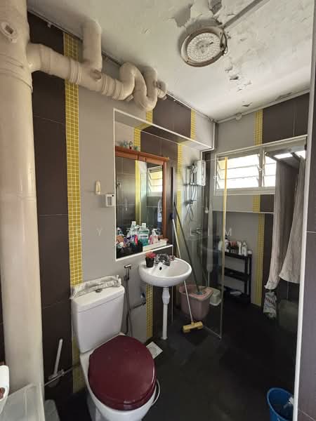 135 Pasir Ris Street 11, 135 Pasir Ris Street 11, 4 Bedrooms, 1,582 sqft, HDB Flat For Sale, by Cyrus Lim, 500109798 - Bathroom - PropertyGuru.com.sg