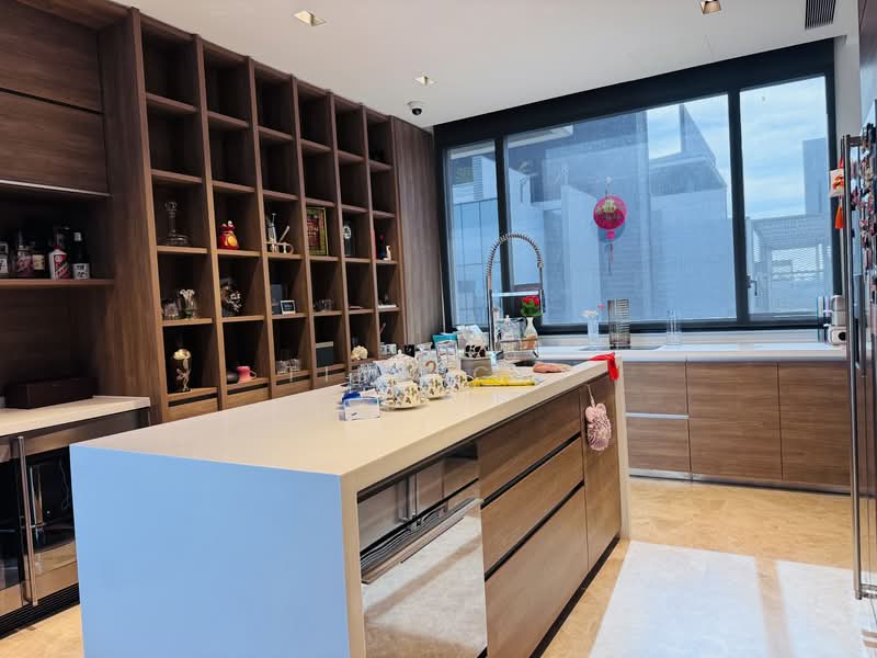 Leedon Residence, 6 Leedon Heights, 4 Bedrooms, 3,617 sqft, Condominium For Rent, by Tina Cai, 500110016 - Kitchen - PropertyGuru.com.sg