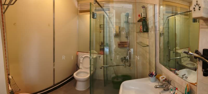 Branksome road, Branksome road, Room Rental, 235 sqft, Detached House For Rent, by Ricky Tan, 500110327 - Bathroom - PropertyGuru.com.sg