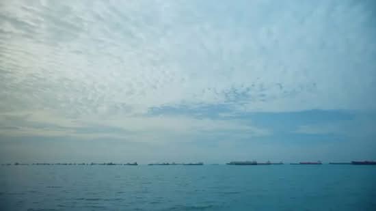 MEYER BLUE, 83 Meyer Road, 4 Bedrooms, 1,518 sqft, Condominium For Sale, by Gates Lee, 500110352 - PropertyGuru.com.sg