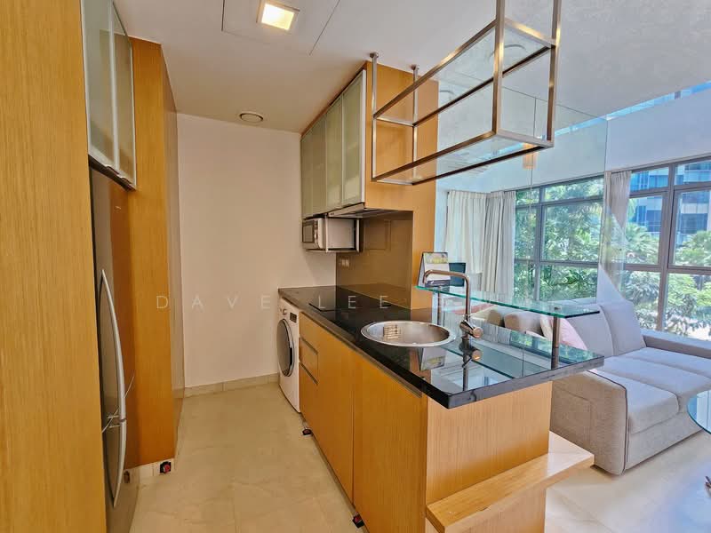 Icon, 10 Gopeng Street, 1 Bedroom, 657 sqft, Apartment For Rent, by Dave Lee 李权晋, 500110502 - Kitchen - PropertyGuru.com.sg