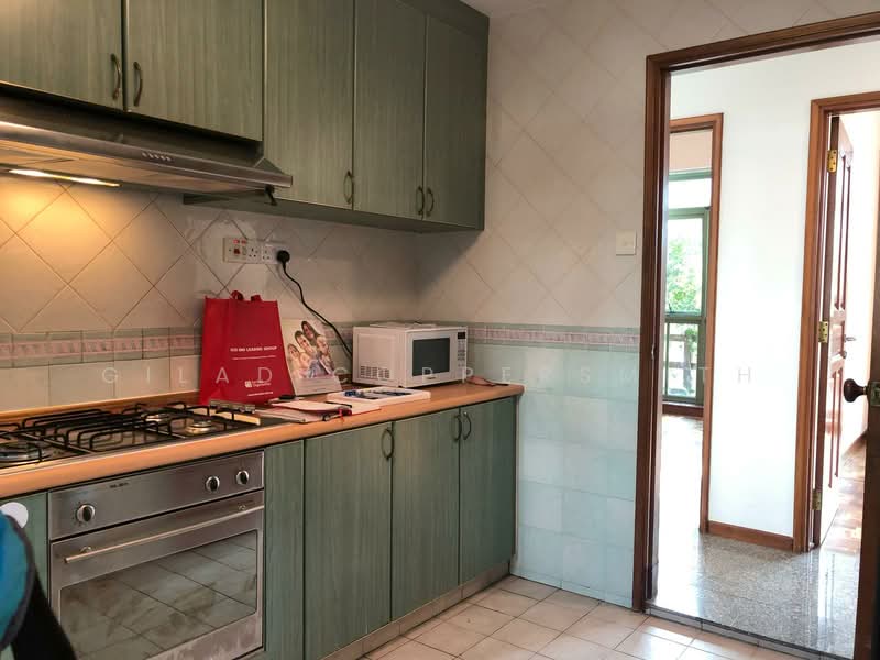 Gold Palm Mansions, 139 Lorong K Telok Kurau, 3 Bedrooms, 1,582 sqft, Apartment For Rent, by Gilad Coppersmith, 500110604 - Kitchen - PropertyGuru.com.sg