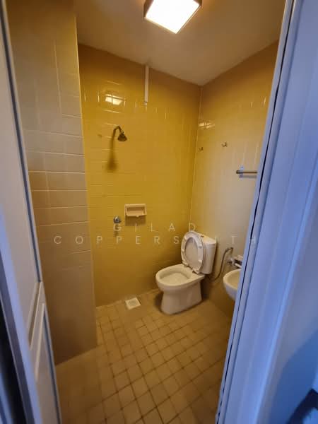 The Cairnhill, 4 Cairnhill Rise, 4 Bedrooms, 2,809 sqft, Condominium For Rent, by Gilad Coppersmith, 500110613 - Bathroom - PropertyGuru.com.sg