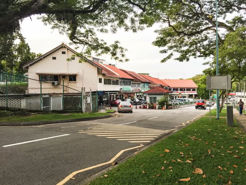 Upper Thomson Jalan Leban ๐1km to Chij St Nicholas Girls School & Mayflower MRT FH 3 Sty Semi-D, Jalan Leban, 8 Bedrooms, 3,006 sqft, Corner Terrace For Sale, by Lyn Feng, 500110815 - Exterior - PropertyGuru.com.sg