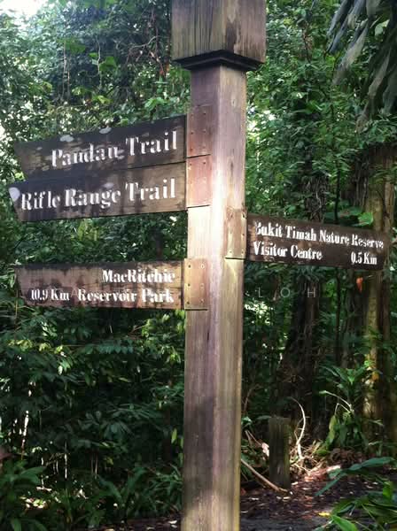 The Raintree, 91 Bukit Drive, 3 Bedrooms, 1,389 sqft, Condominium For Rent, by Aldrick Loh, 500110823 - PropertyGuru.com.sg