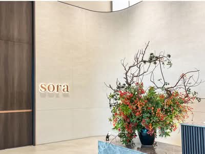 For Sale - Sora