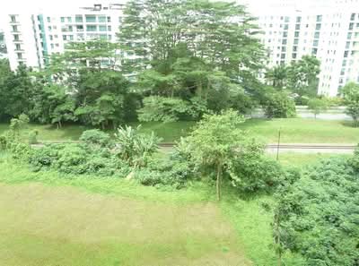 For Rent - The Raintree