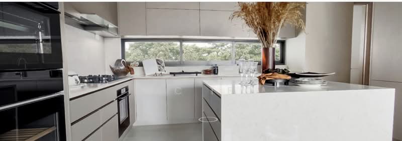 Watten House, 38 Shelford Road, 5 Bedrooms, 2,368 sqft, Condominium For Sale, by Zac Teo, 500111204 - Kitchen - PropertyGuru.com.sg