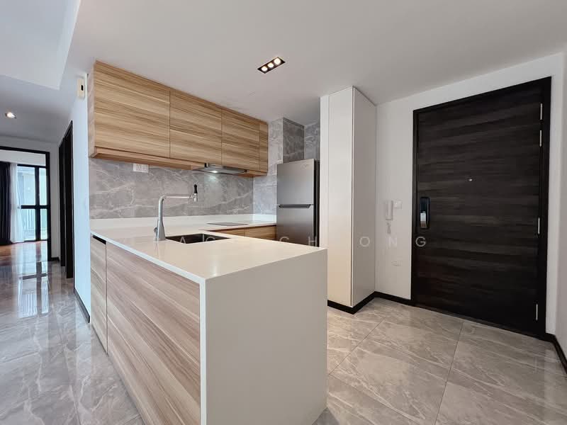 The Poiz Residences, 10 Meyappa Chettiar Road, 3 Bedrooms, 840 sqft, Condominium For Sale, by Grace Cheong, 500111220 - Kitchen - PropertyGuru.com.sg