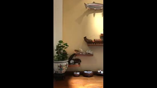 West Coast Gardens, 4 West Coast Place, Room Rental, 400 sqft, Terraced House For Rent, by Wee Chye Heng (Alan Wee), 500111429 - PropertyGuru.com.sg