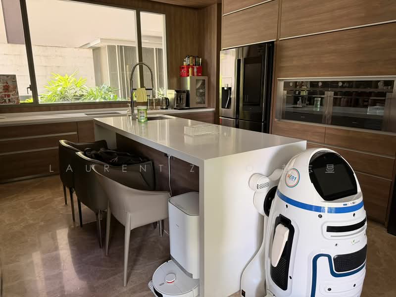 Leedon Residence, 16 Leedon Heights, 7 Bedrooms, 4,606 sqft, Condominium For Rent, by Laurent Zhao 赵志显, 500111553 - Kitchen - PropertyGuru.com.sg