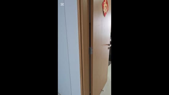 Parc Olympia, 60 Flora Drive, Studio, 300 sqft, Condominium For Rent, by Peter Chua, 500111569 - PropertyGuru.com.sg