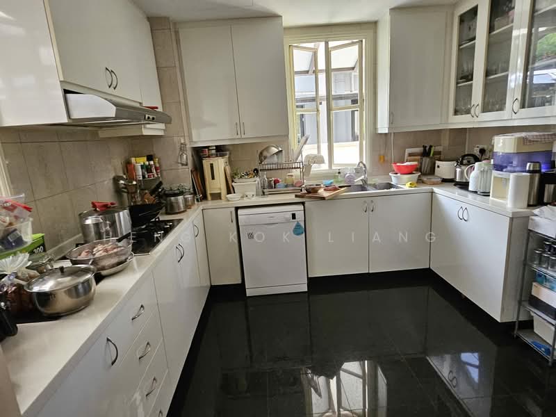 Holland Grove, Holland Grove View, 4 Bedrooms, 3,000 sqft, Semi-Detached House For Sale, by Heng Kok Liang, 500111576 - Kitchen - PropertyGuru.com.sg