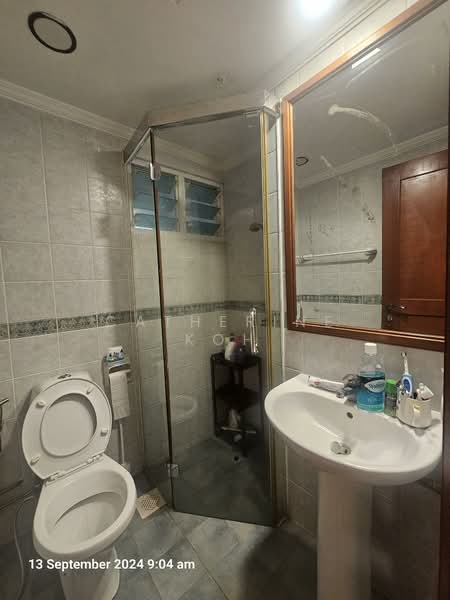 Emerald Garden, 33 Club Street, Room Rental, 100 sqft, Condominium For Rent, by Catherine Koh, 500111611 - Common Bathroom 0607 - PropertyGuru.com.sg