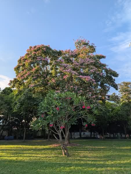 New Listing! Large frontage terrace at Joo Chiat Ave, Joo Chiat Ave, 5 Bedrooms, 2,600 sqft, Terraced House For Sale, by Alice Cai, 500111687 - Exterior - PropertyGuru.com.sg