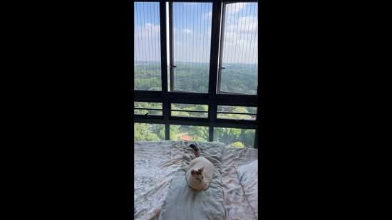 95 Dawson Road, 95 Dawson Road, 2 Bedrooms, 678 sqft, HDB Flat For Sale, by Eugene Tan, 500111935 - PropertyGuru.com.sg