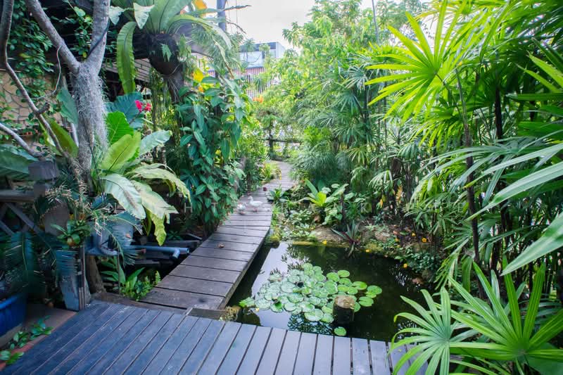 Choon Sing Garden / Jalan Binchang / Bishan - Semi-D, Jalan Binchang, 4 Bedrooms, 3,300 sqft, Semi-Detached House For Sale, by Dave Devnath, 500111986 - Garden - PropertyGuru.com.sg