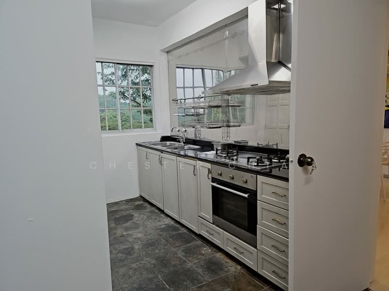 Pandan Valley, 1 Pandan Valley, Room Rental, 250 sqft, Condominium For Rent, by Chester Chia, 500111992 - Kitchen - PropertyGuru.com.sg