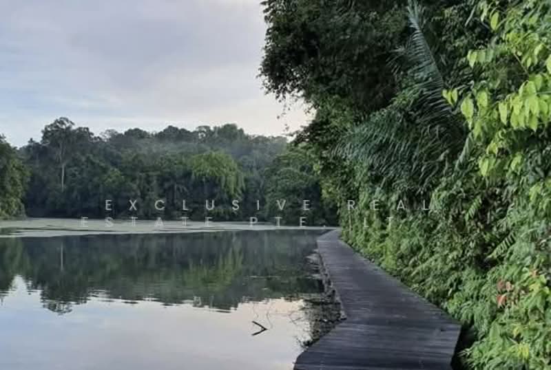 D20 Fully Designer Renovated Semi D Near Casuarina Enclave, , 3 Bedrooms, 1,800 sqft, Semi-Detached House For Sale, by EXCLUSIVE REAL ESTATE PTE. LTD. (RESIDENTIAL), 500112020 - Exterior - PropertyGuru.com.sg