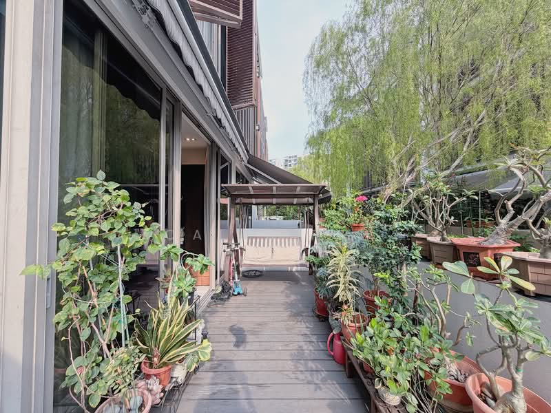 The Woods, Westwood Avenue, 6 Bedrooms, 4,004 sqft, Cluster House For Sale, by Caleb Peh, 500112034 - Outdoor Patio - PropertyGuru.com.sg