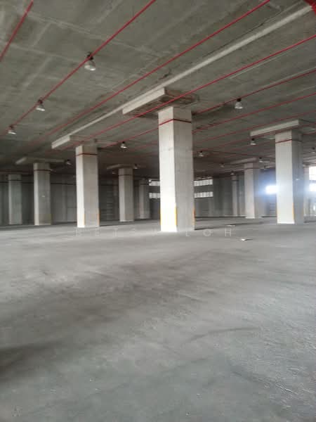 9 Dedicated Bays - Warehouse For Rent, , 36,000 sqft, Warehouse For Rent, by Betsy Loh, 500112038 - Interior - CommercialGuru.com.sg