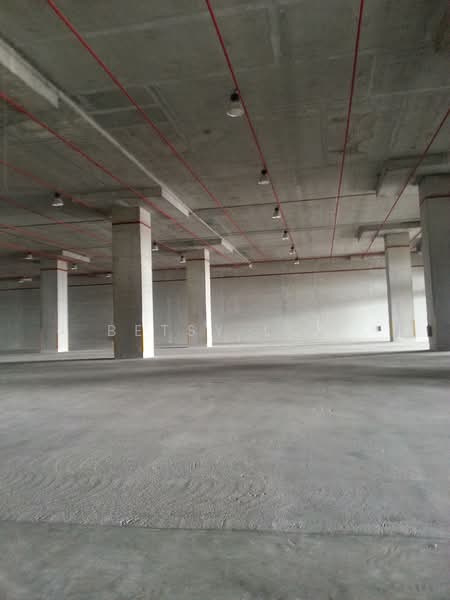 9 Dedicated Bays - Warehouse For Rent, , 36,000 sqft, Warehouse For Rent, by Betsy Loh, 500112038 - Interior - CommercialGuru.com.sg