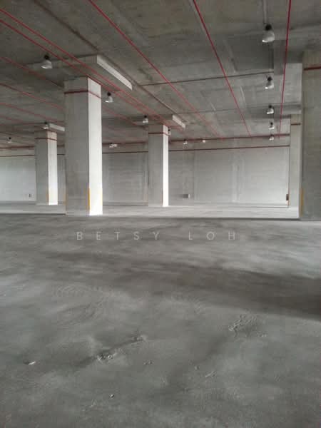 9 Dedicated Bays - Warehouse For Rent, , 36,000 sqft, Warehouse For Rent, by Betsy Loh, 500112038 - Interior - CommercialGuru.com.sg