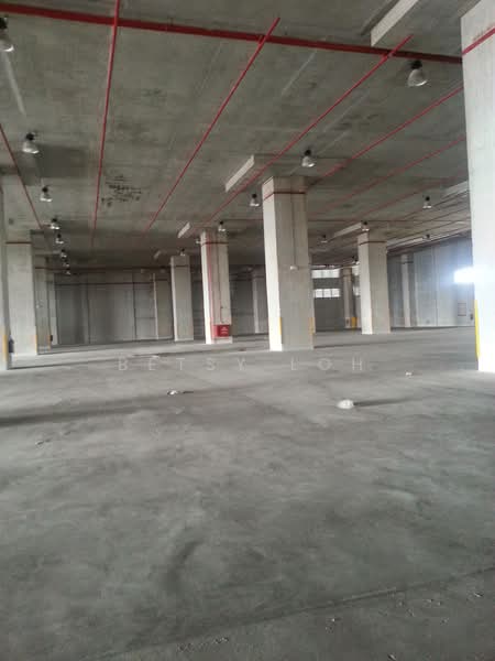9 Dedicated Bays - Warehouse For Rent, , 36,000 sqft, Warehouse For Rent, by Betsy Loh, 500112038 - Interior - CommercialGuru.com.sg