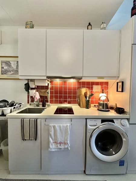 Sycamore Tree, 2 Fowlie Road, 1 Bedroom, 344 sqft, Apartment For Rent, by Yu Tianxin, 500112311 - Kitchen - PropertyGuru.com.sg