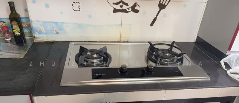 2 Dover Road, 2 Dover Road, Room Rental, 200 sqft, HDB Flat For Rent, by Zhu Zhening Alina, 500112499 - Kitchen - PropertyGuru.com.sg